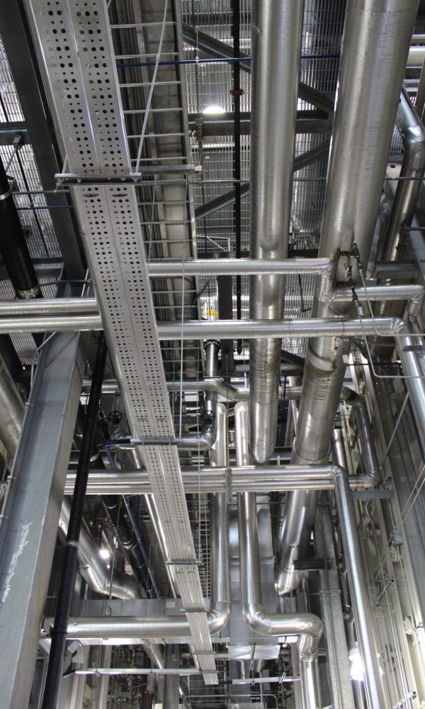 pexels-lillian-katrine-kofod-12658691